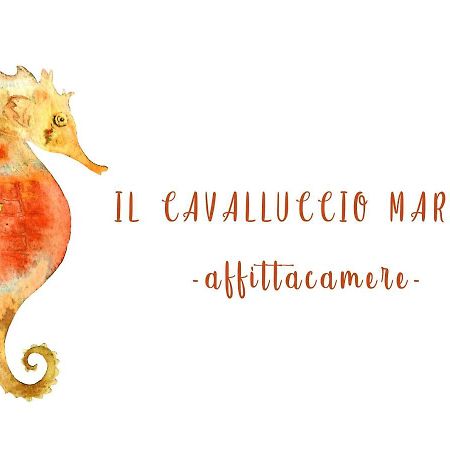 Il Cavalluccio Marino Manarola Exterior foto