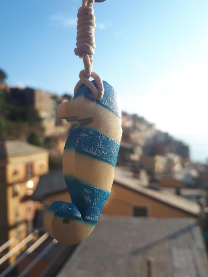 Il Cavalluccio Marino Manarola Exterior foto